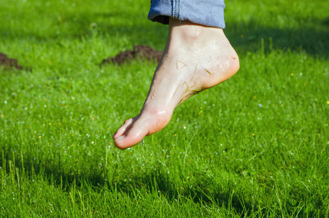 Koncem srpna začíná letní rosa studit; foto Shutterstock Bosky do rosky, dokud je teplo