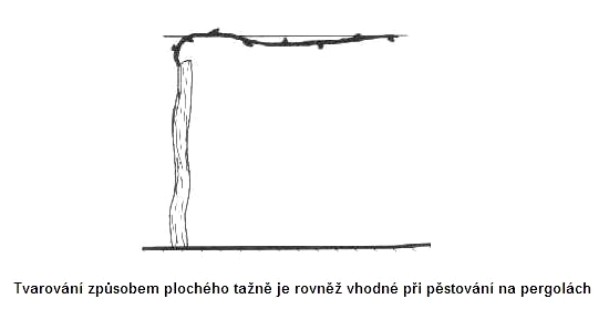 Ploché tažně