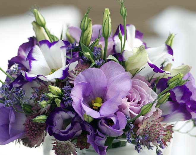 Eustoma čili jícnovka potěší ve váze na stole i ve svatební kytici