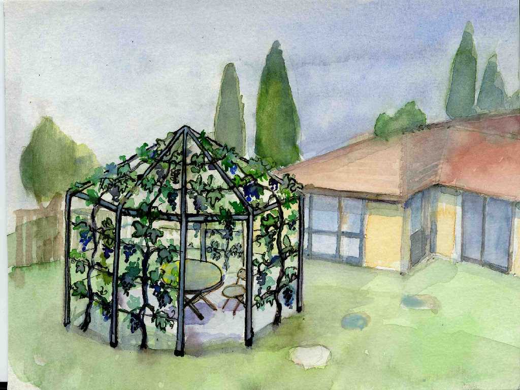 Pergola jako opěrná konstrukce révy vinné; výstavba a výsadba