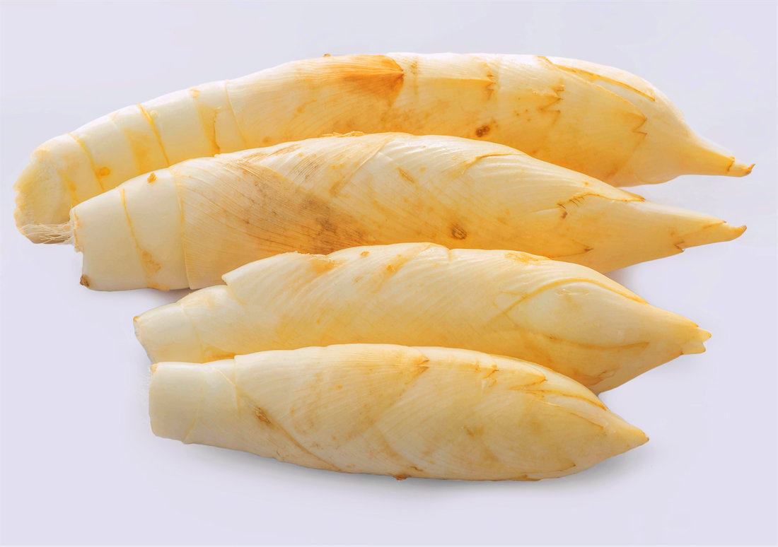 V tropech se oddenky dosny používají jako zelenina; foto Shutterstock V tropech se oddenky dosny používají jako zelenina; foto Shutterstock