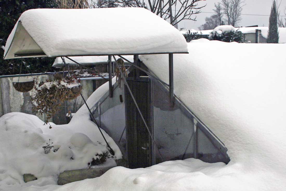 Zapuštěný nevytápěný skleník slouží k přezimování mrazuvzdorných kaktusů Nevytápěné zimoviště mrazuvzdorných kaktusů