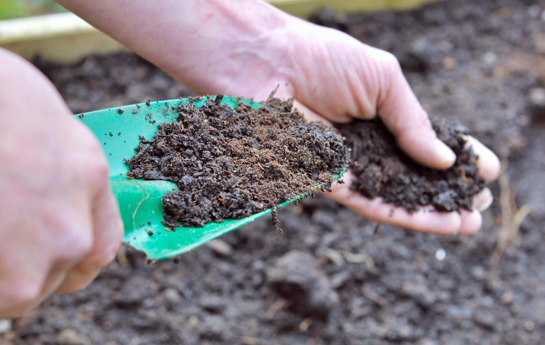 Kompost připravený k výživě zahradních rostlin; foto Shutterstock Kompost připravený pro použití