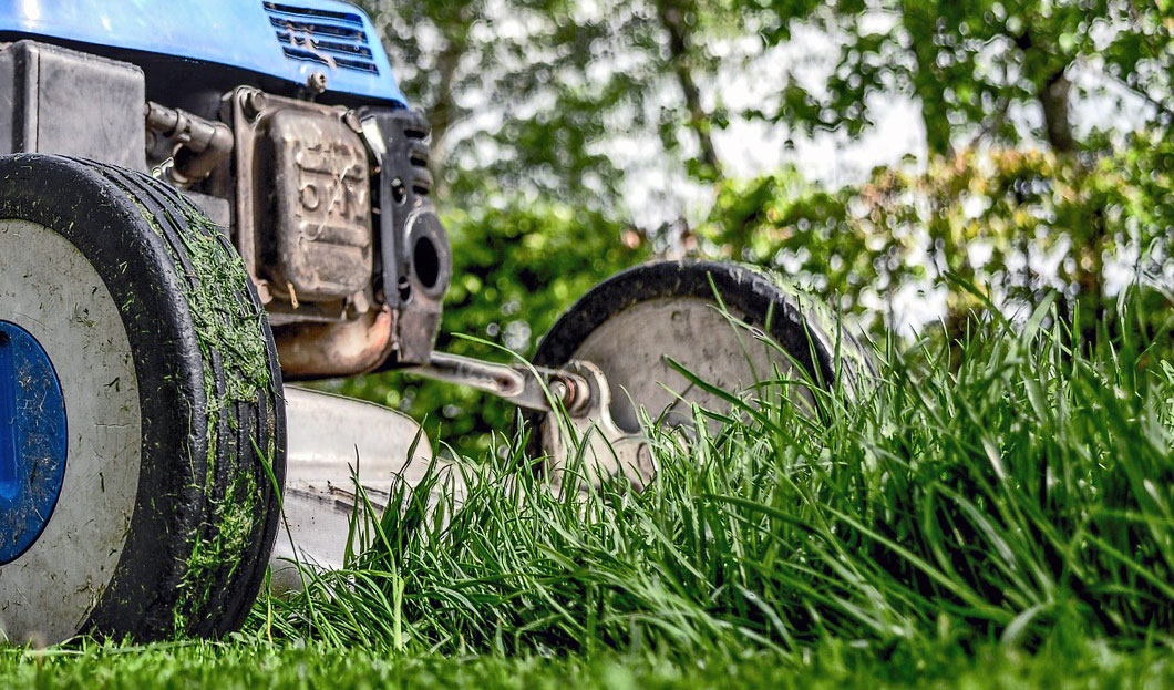 Raději vyšší než nízké sečení trávníku; foto Pixabay Hustý trávník, nebo zelená poušť?