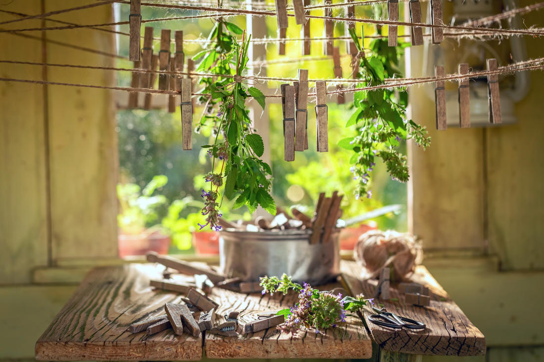 Půdní prostory starších domů a chalup se k sušení bylin používají odedávna. Je tu teplo, šero a snadno se zde větrá. Foto Shutterstock Domácí sušárna rostlin