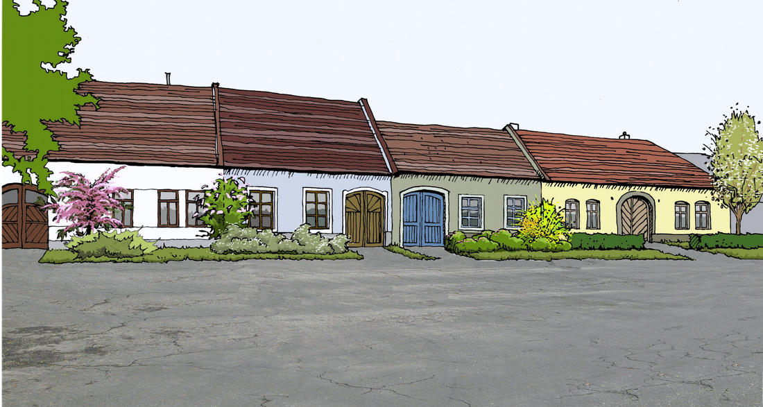 Návrh výsadby a úprav Návrh výsadby a úprav