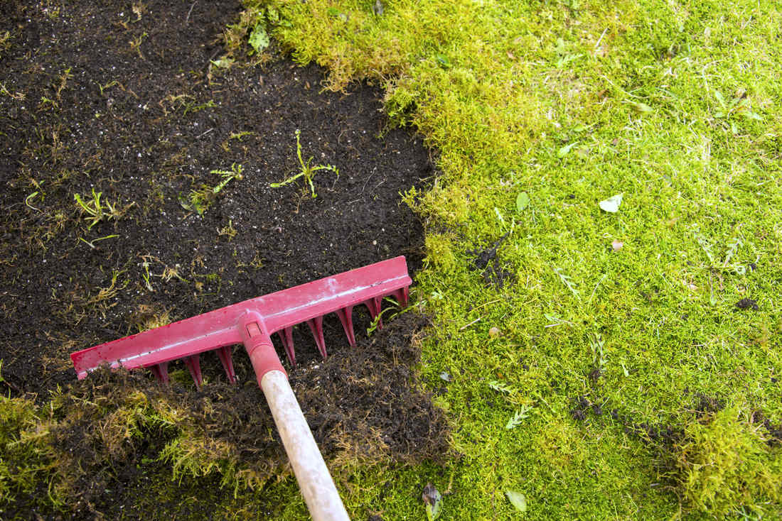 Mech místo vápnění vyřežeme a trávník dosejeme; foto Shutterstock Řezacími hráběmi renovujeme trávník