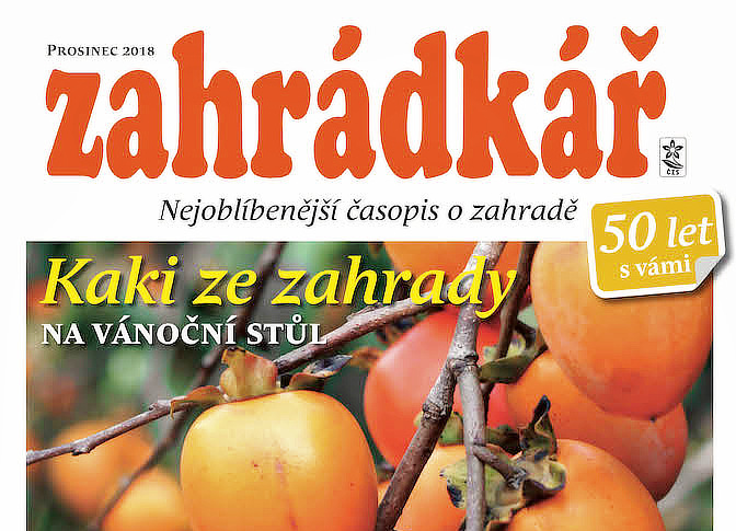 Zahrádkář 12/2018: barborky, nové trvalky, kráska kaliandra...