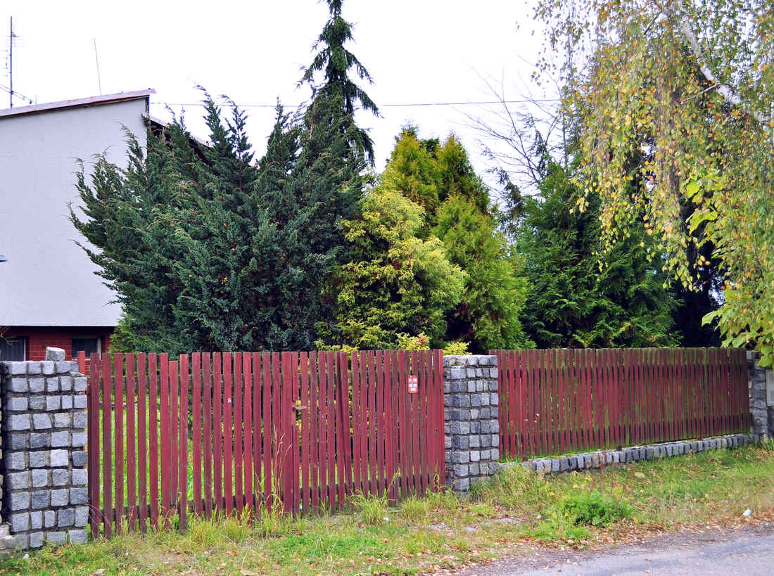 Jehličnany obsadily předzahrádku