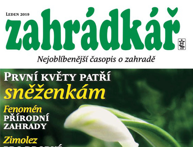 Zahrádkář 1/2019: zakládání zahrady, hlohyně, osiva, čaje... Zahrádkář 1/2019: zakládání zahrady, hlohyně, osiva, čaje...