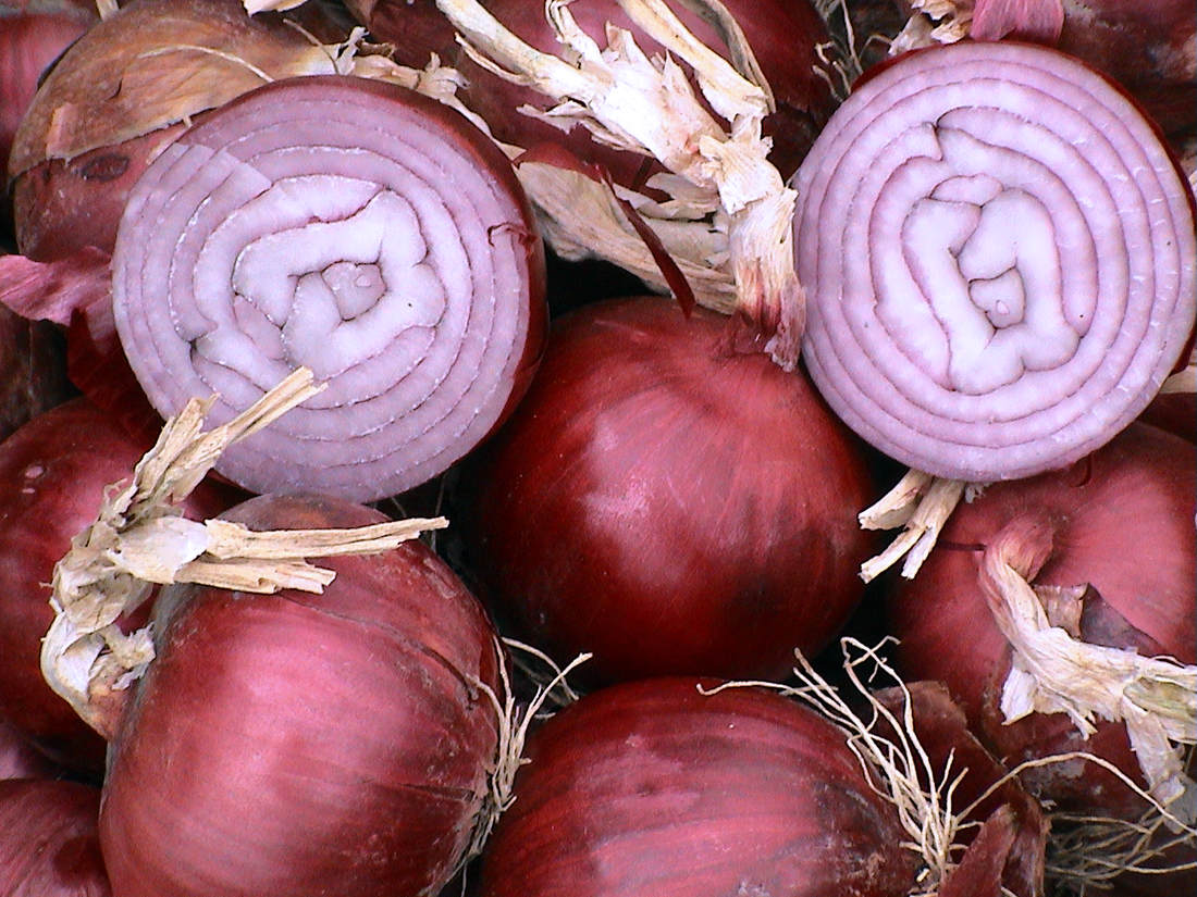 Cibule kuchyňská; jak ji pěstovat, aby chutnala a vydržela