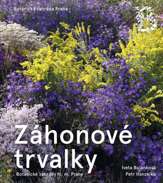 Záhonové trvalky Záhonové trvalky