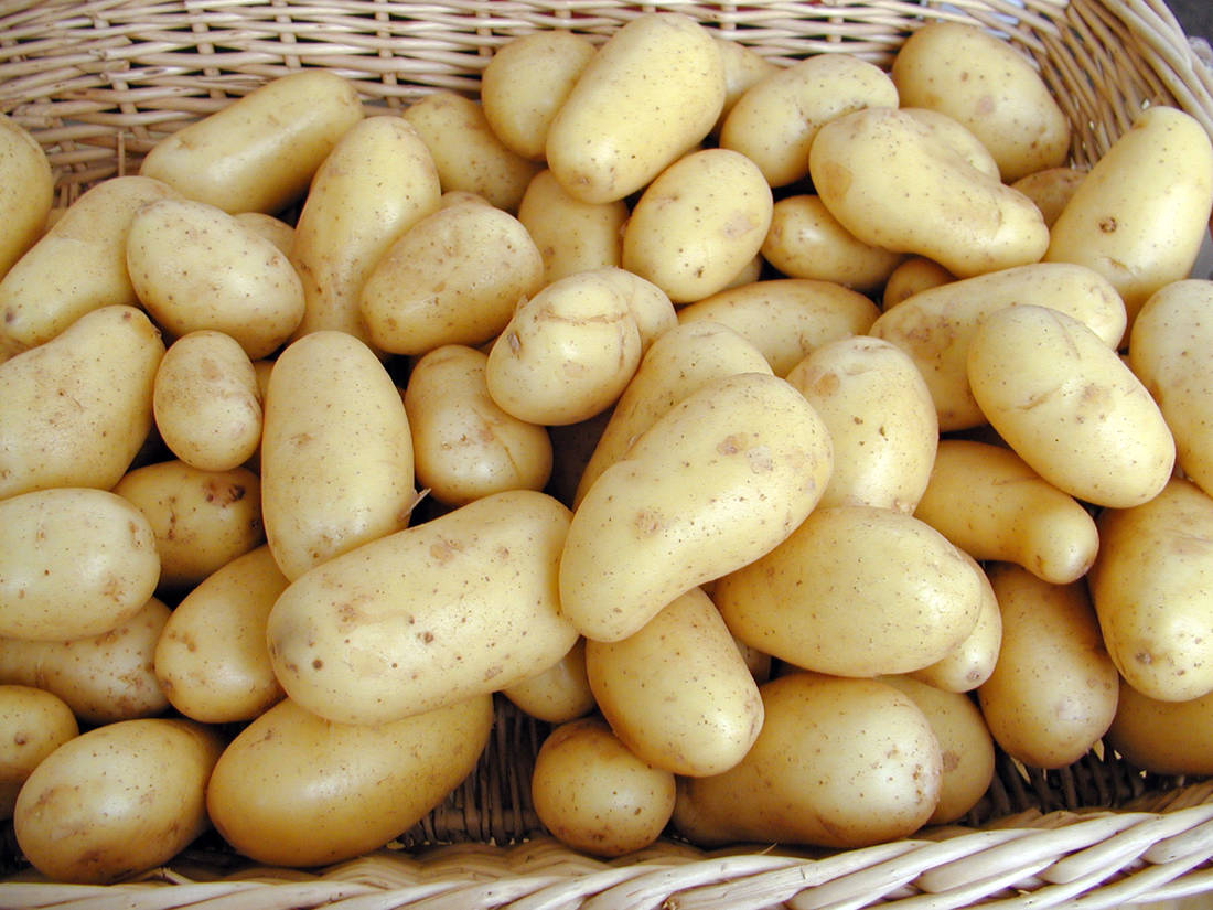 Brambory