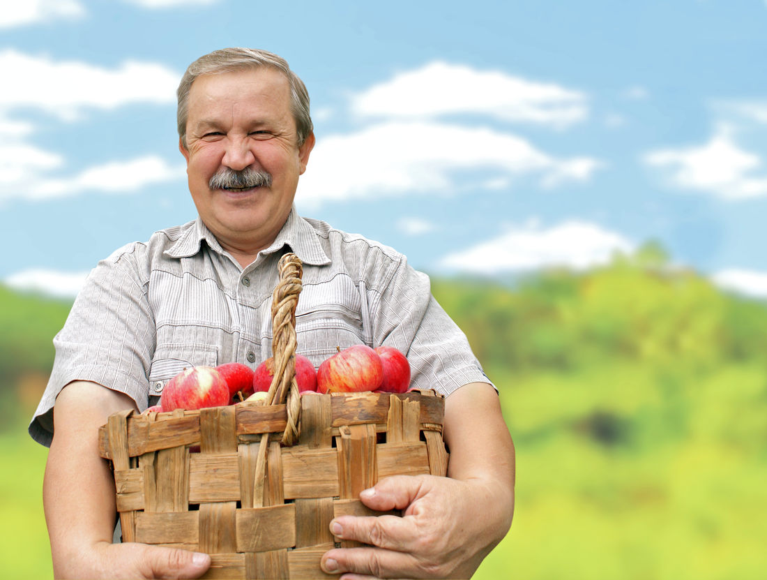 Kolik ovoce zvládne začátečník vypěstovat na své zahradě