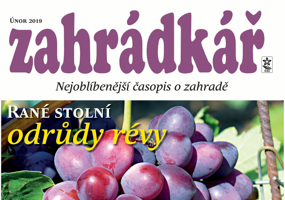 Zahrádkář 2/2019: jarní květiny, rouby, tipy k výsevu zeleniny...