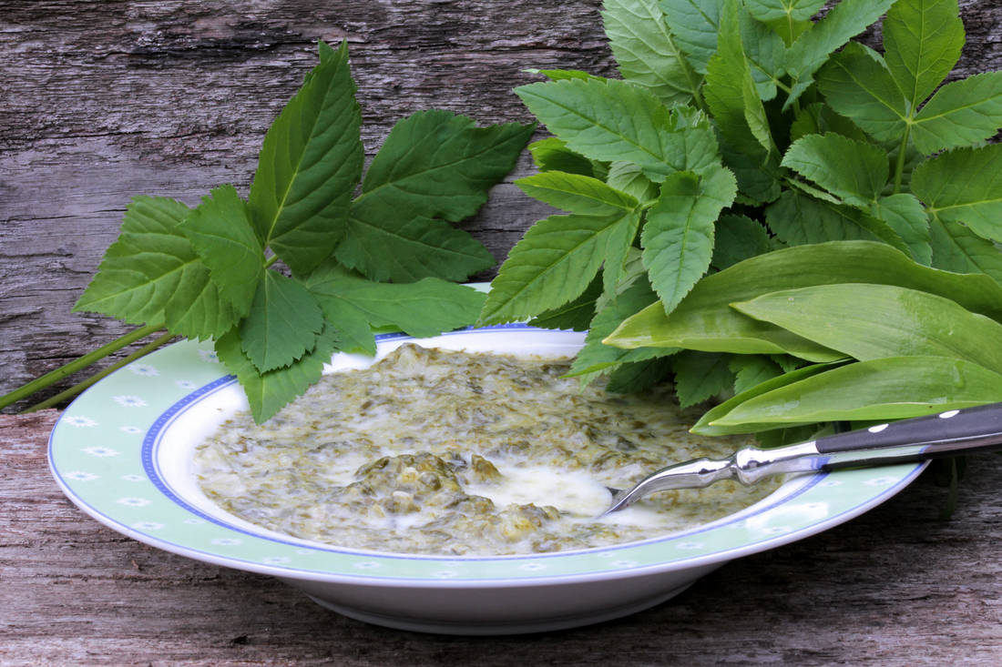 Bršlicová polévka; foto Shutterstock Polévka z bršlice