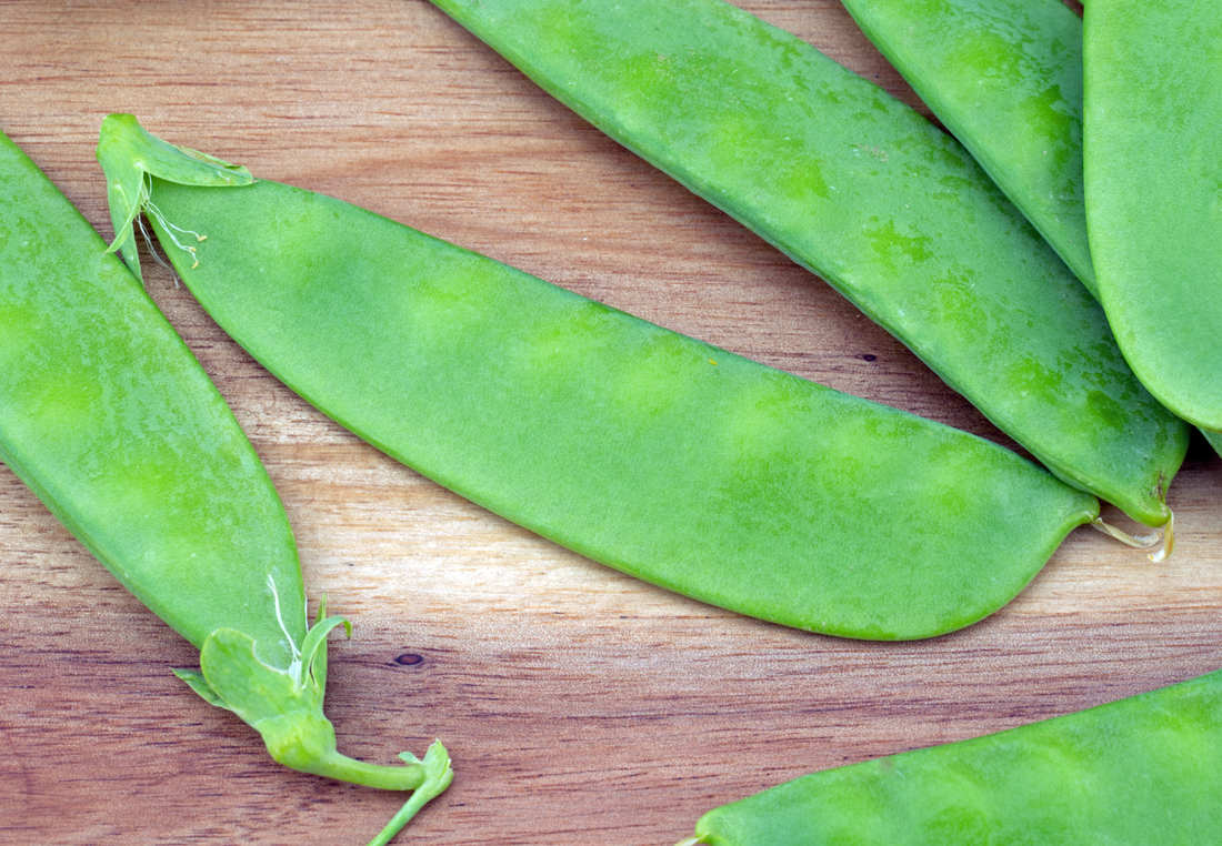 Hrách cukrový, foto Shutterstock Hrách cukrový (Pisum sativum var. Saccharatum)