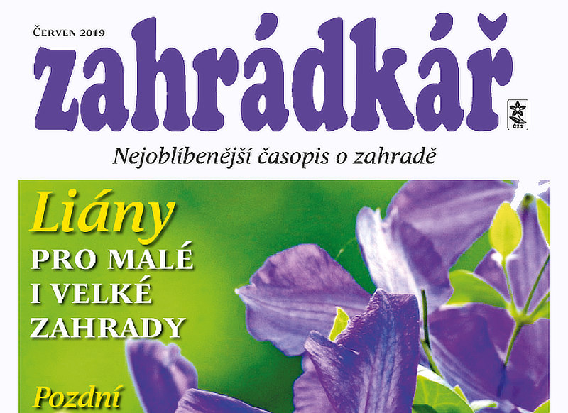 Zahrádkář 6/2019: jak nejlépe pečovat o půdu, plodiny a krásu