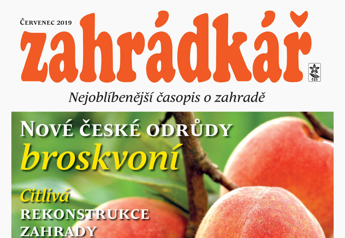 Zahrádkář 7/2019: tipy pro radost ze zahrady, úrody i bydlení
