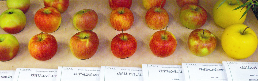 Kategorie Křišťálové jablko