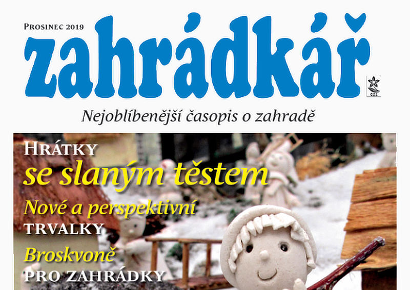 Zahrádkář v prosinci: barborky, výsev mrkve, vánoční tipy...