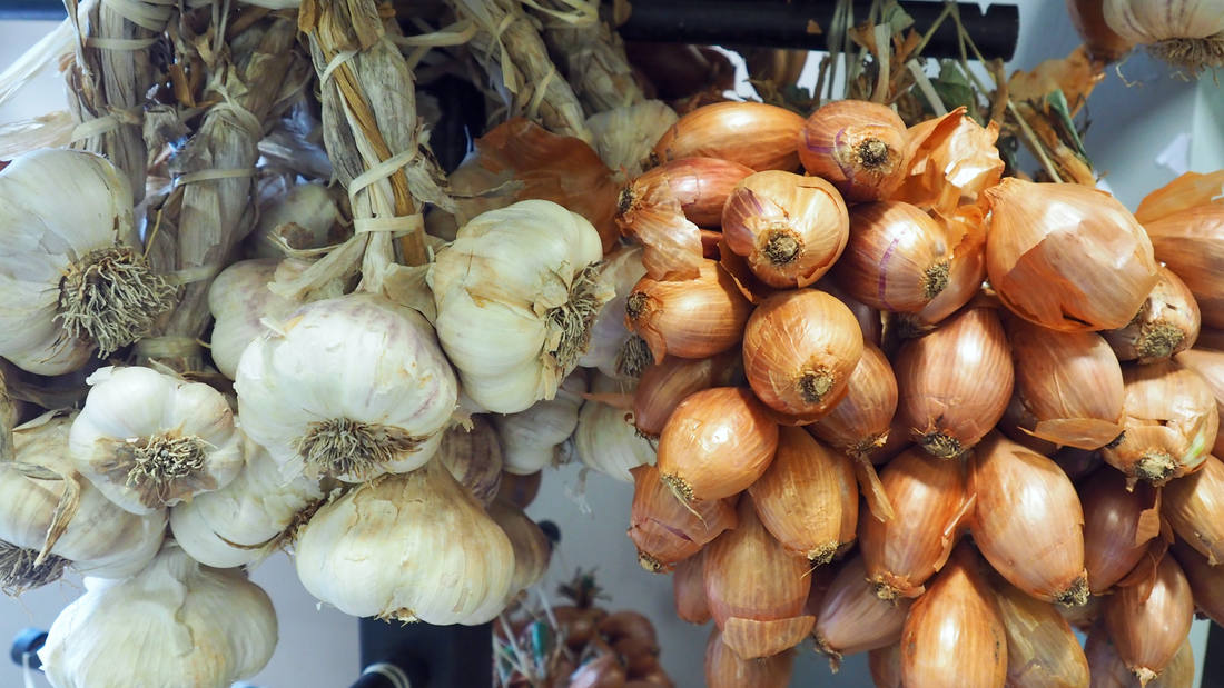 Skladování ve svazcích; foto Shutterstock Česnek a cibule uskladněné ve svazcích