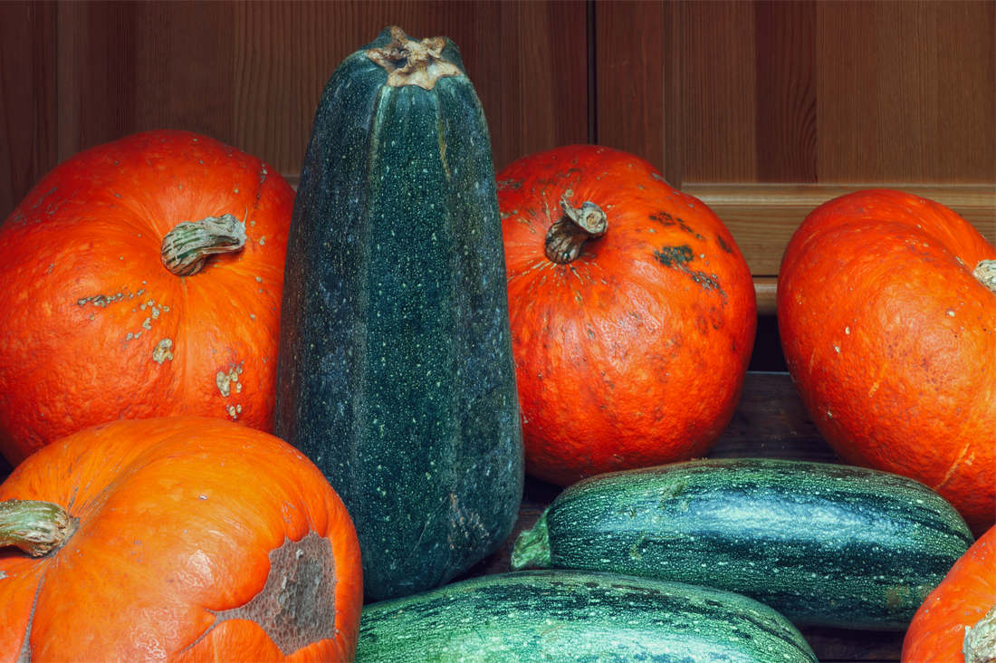 Tykve ukládáme ke skladování dobře vyzrálé, foto Shutterstock Tykve ke skladování