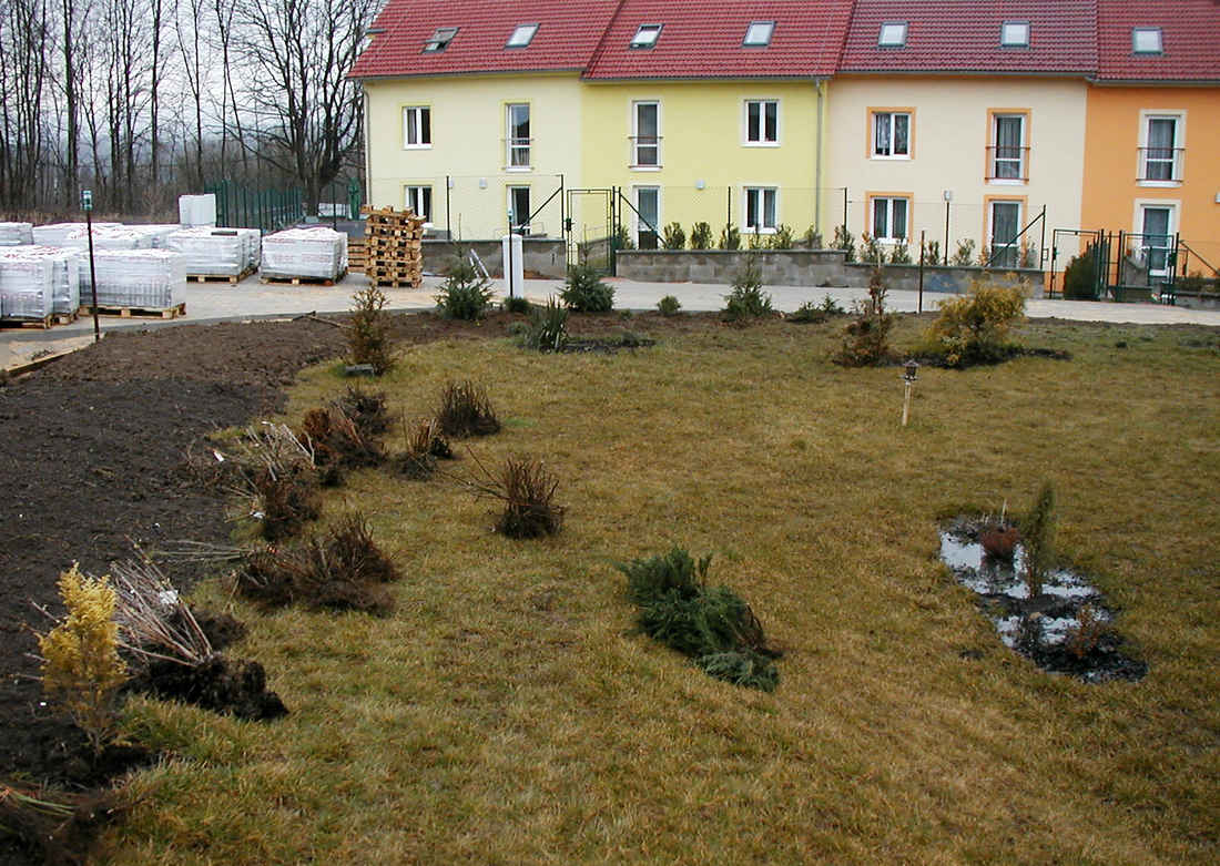 Při výsadbě Při výsadbě