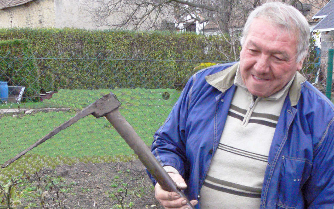 Jak pěstovat na zahradě křen? Tradičně jako v Malíně