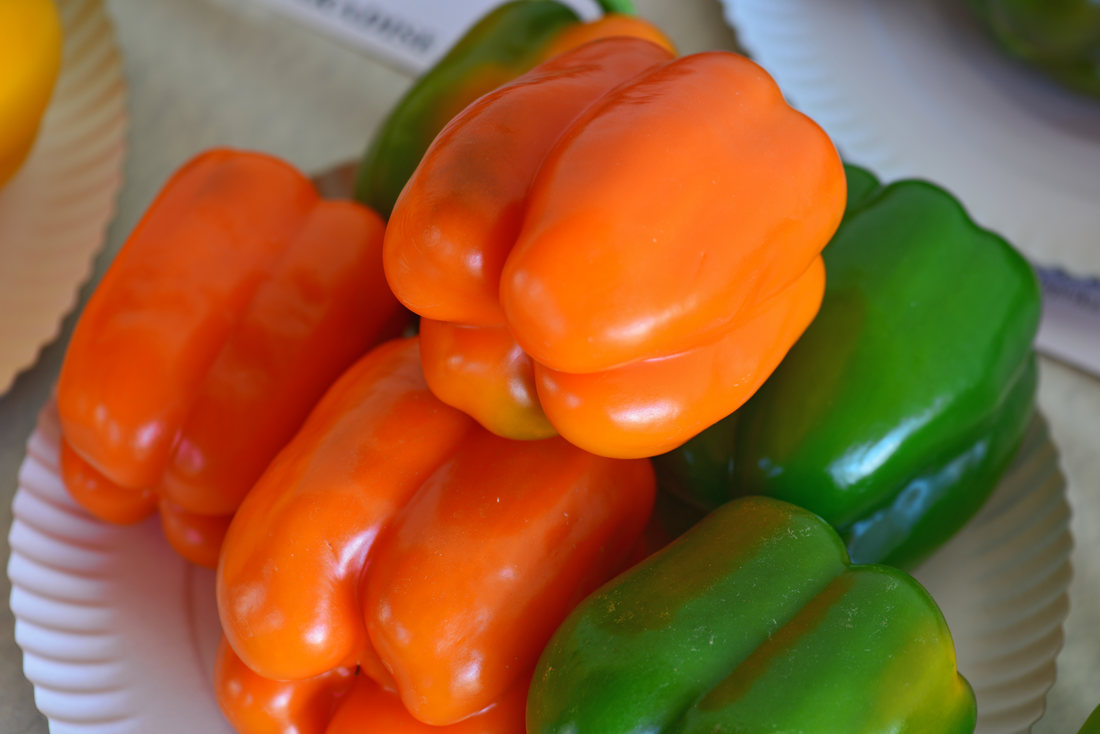Paprika odrůdy Kubista F1