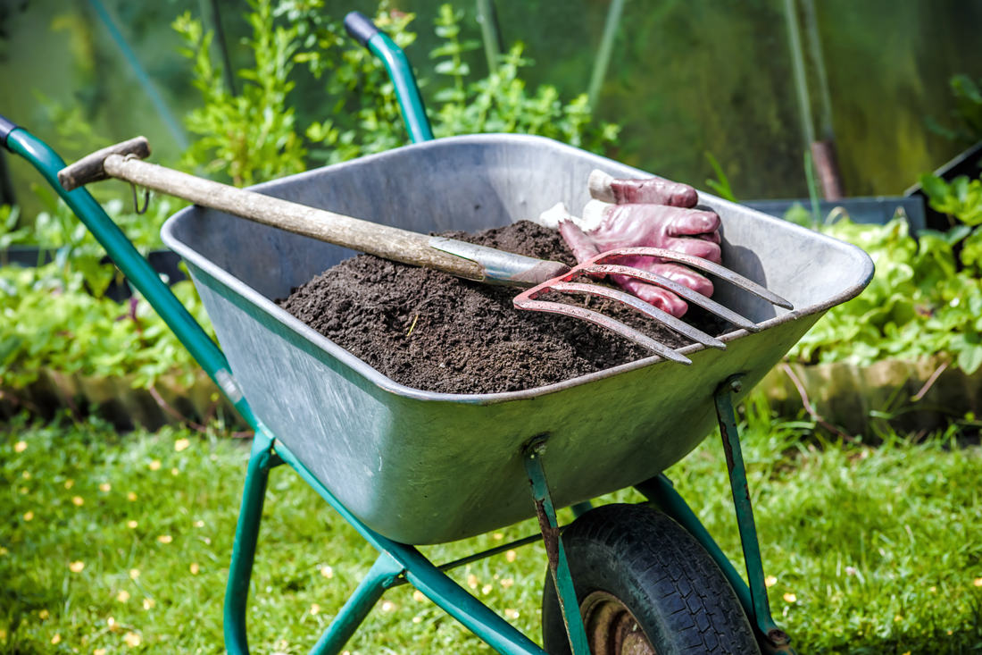 Kompostem prospějeme trávníku, květinám, stromům, keřům, zelenině; foto Shutterstock Kompost připravený k akci