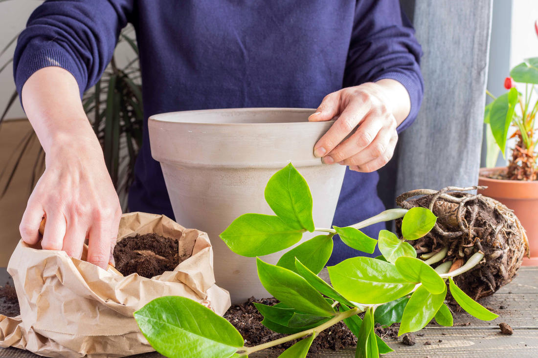 Do nového dáme drenáž Do nového dáme drenáž