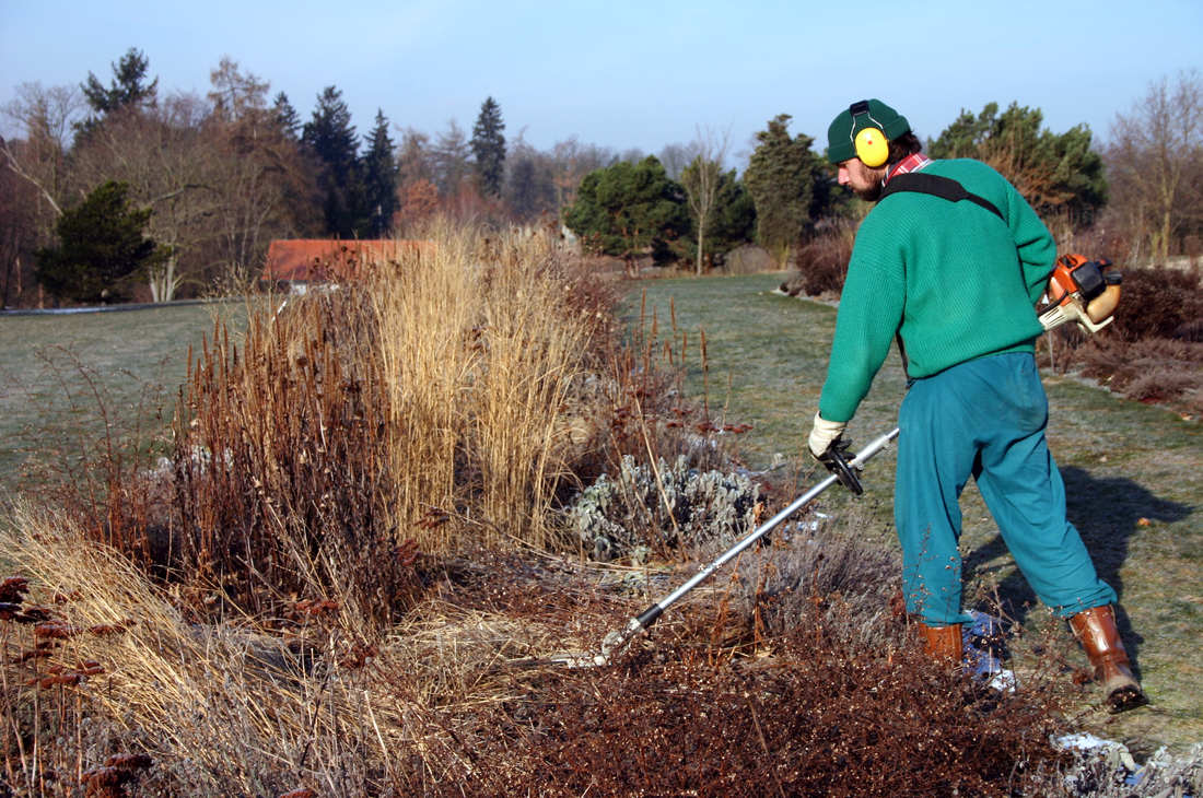 Předjarní úklid trvalkového záhonu Předjarní úklid trvalkového záhonu
