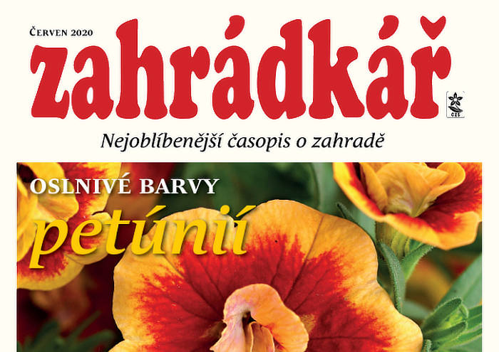 Zahrádkář v červnu: květiny a květy, zahradníkův životaběh…
