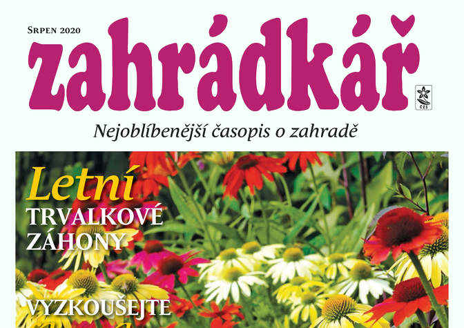 Zahrádkář v srpnu: květiny, slivoně, jahodník, škůdci...