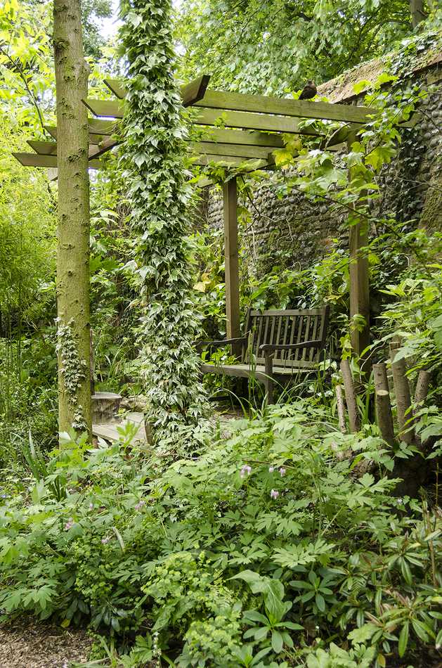 Neviditelná pergola