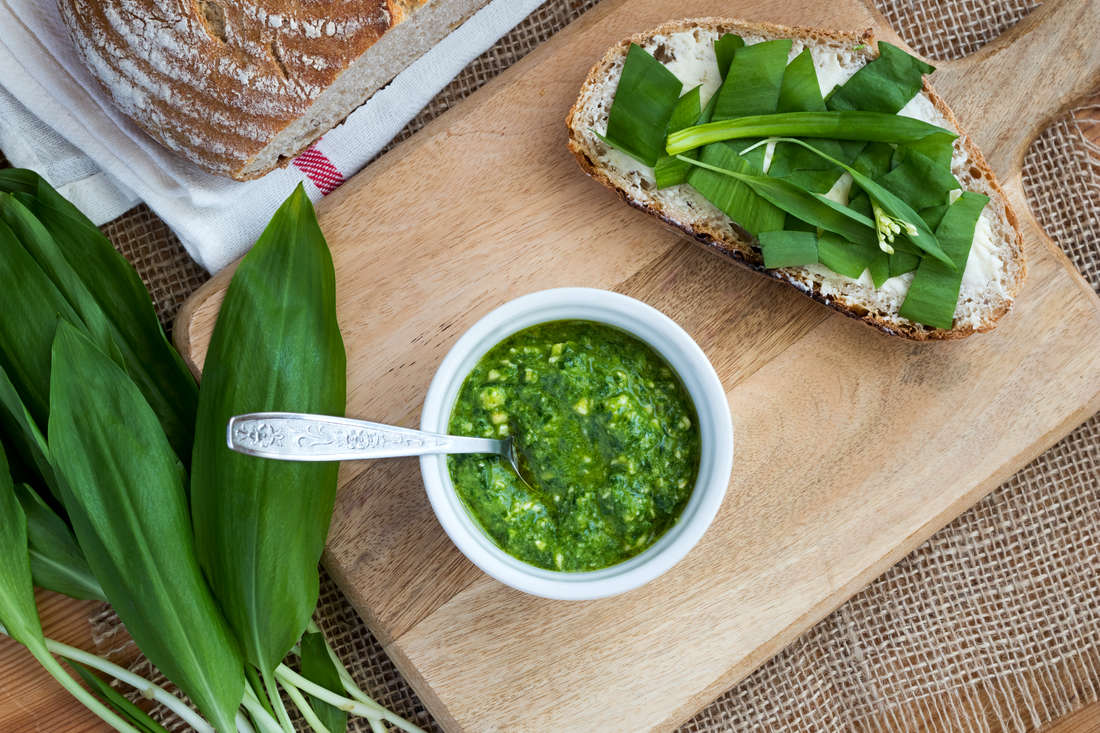 Pesto z listů česneku medvědího