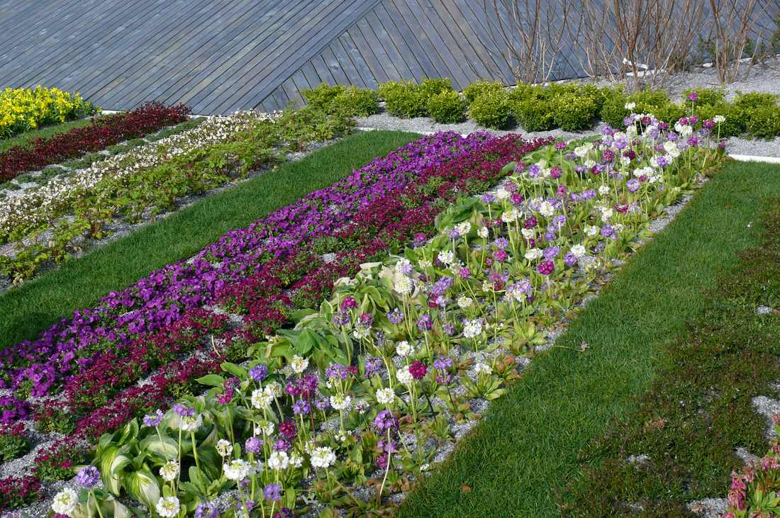 Geometrické, ornamentální či větší plochy jednoho druhu jsou na údržbu náročnější než volnější výsadby. Na péči náročnější jednodruhové plochy