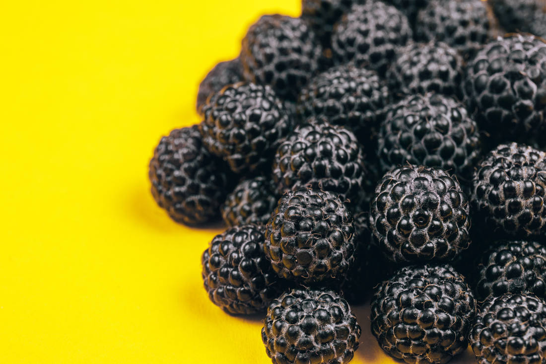 Černoplodé maliny; foto Shutterstock Maliny
