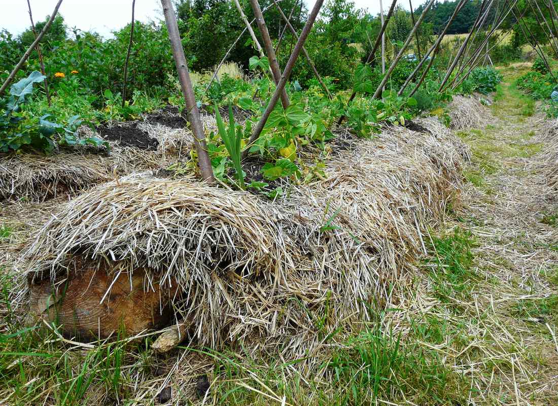 Také takto lze vyvýšit pěstební plochu nad úroveň terénu Přírodně pojaté vyvýšení záhonu