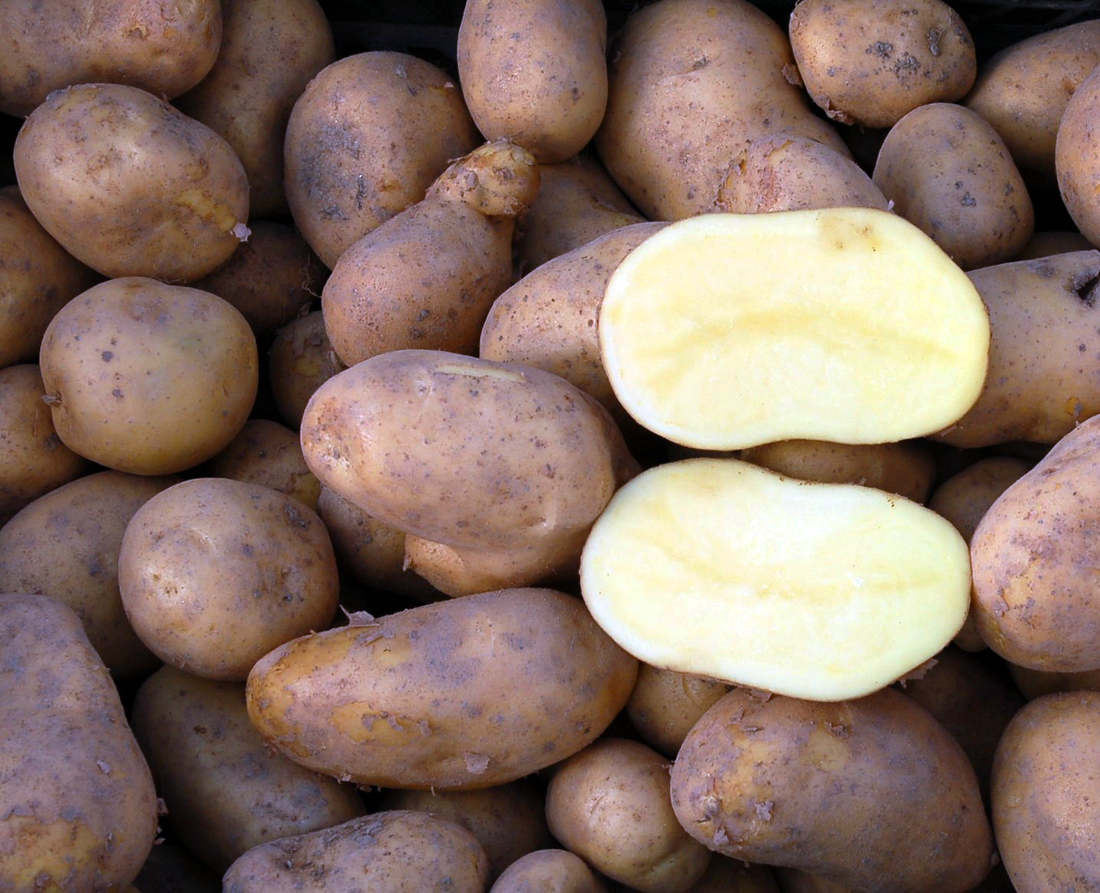 Odrůda Goldmarie, varný typ A