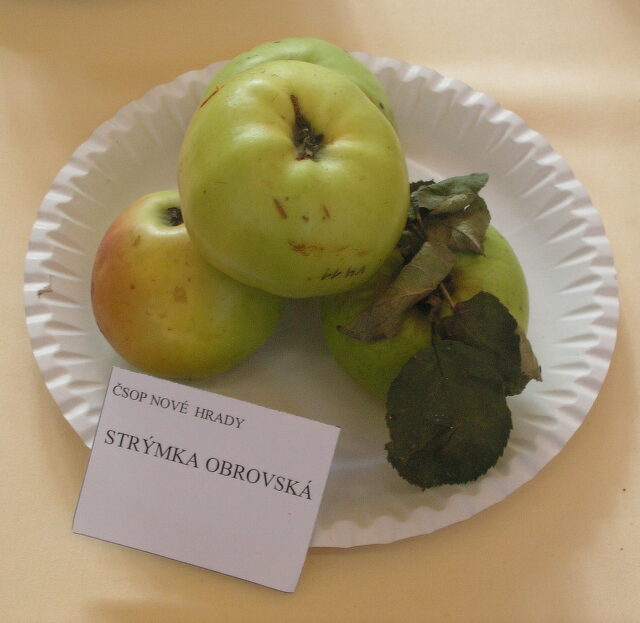 ´Strýmka´