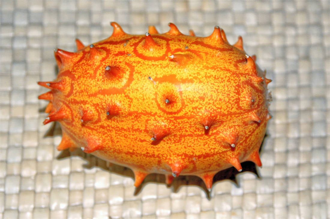 Kiwano neboli rohatá okurka, zelenina  z rodiny melounů