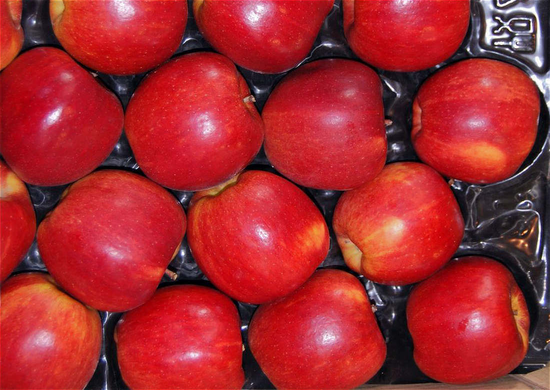 Odrůda Braeburn Braeburn