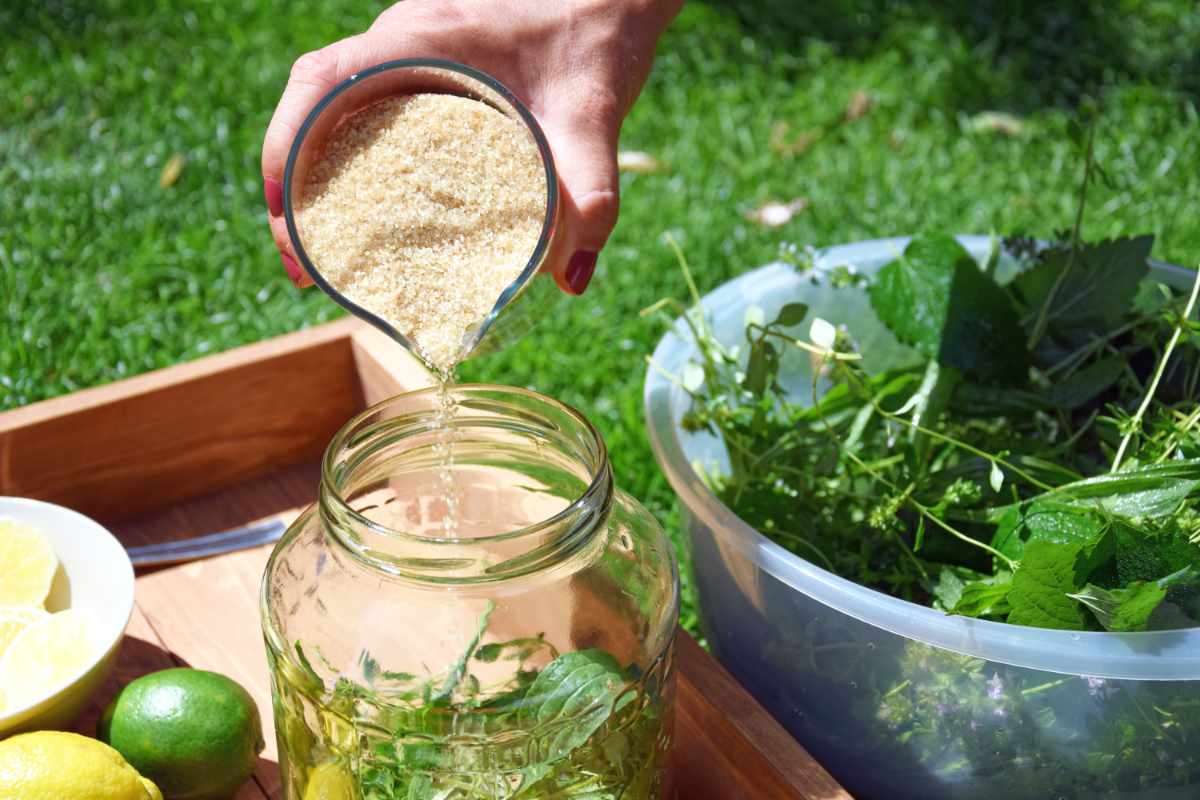 Bylinkový sirup zastudena aneb šetříme vitaminy a svůj čas