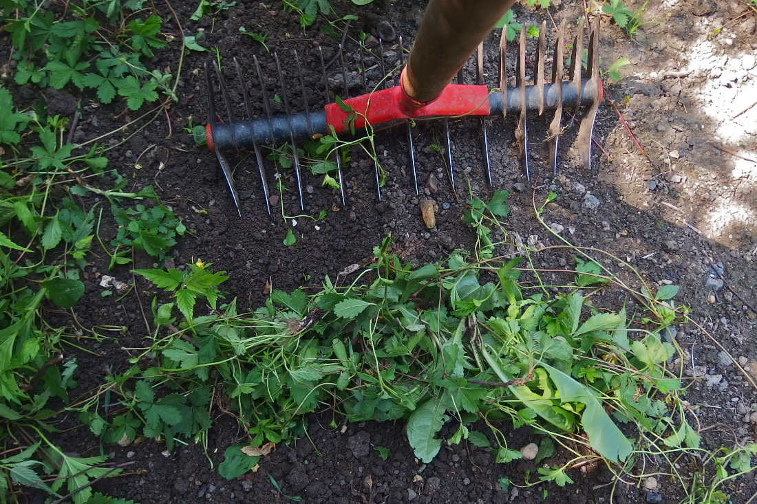 Stačí hráběmi couvnout a shrabané zůstává ležet Stačí hráběmi couvnout a shrabané zůstává ležet