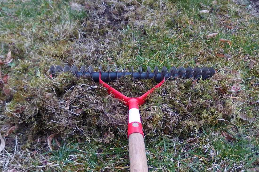 Původně hrábě určené na čištění trávníku od plsti a mechů lze na zahradě využít celou sezonu. Třeba i na ochranu záhonů před slimáky. Ostré hrábě pomohou nejen s trávníkem