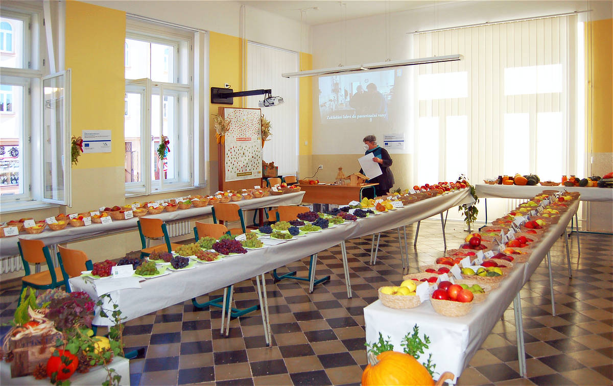 Jsem staromilec. Výstava se stoly zakrytými papírem nebo ubrusy, alespoň u ovoce, mi přijde to nejlepší. Stoly plné ovoce. Koncem října však už bývá švestek málo.