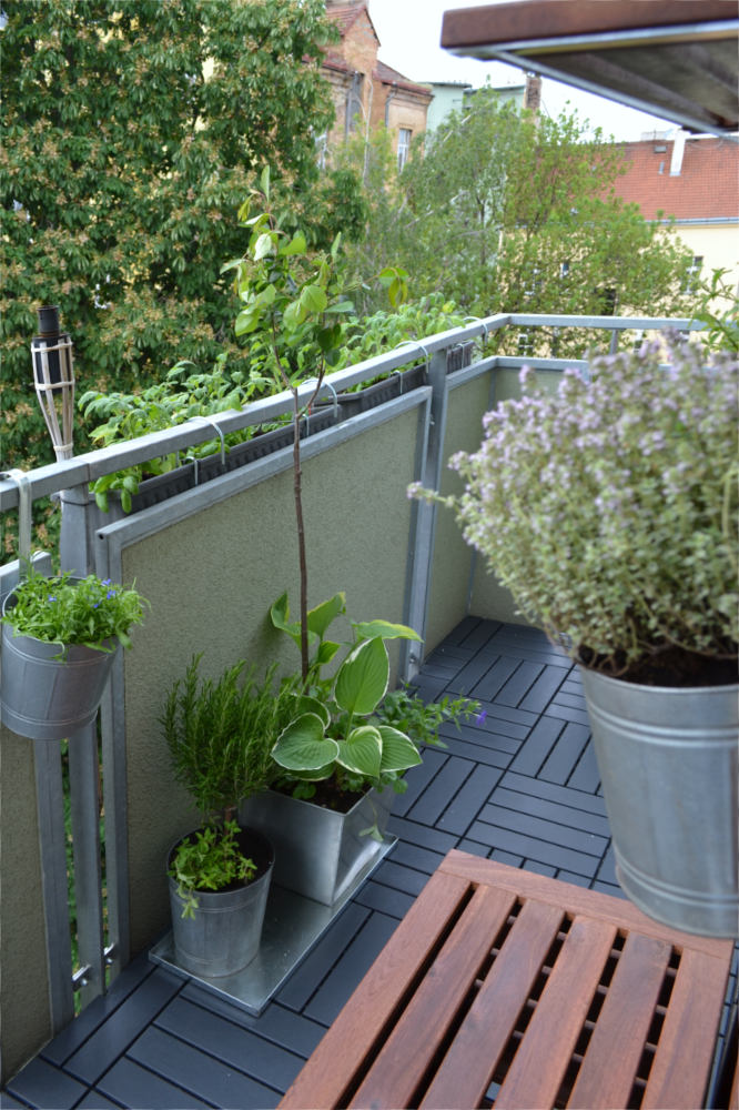 Balkon s okrasnou zelení