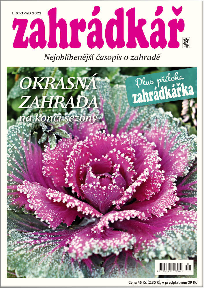 Zahrádkář 11/2022